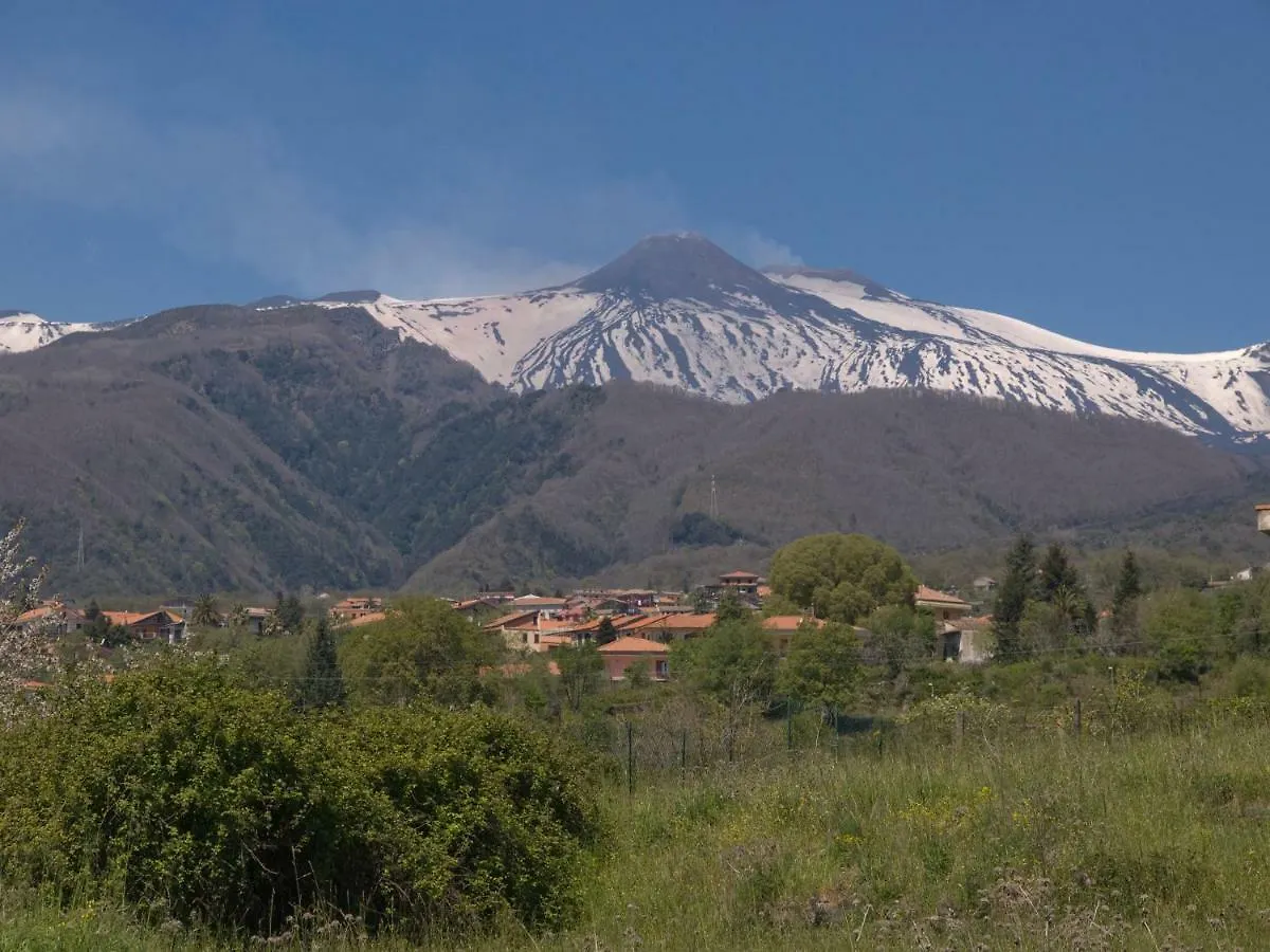 Bed & Breakfast Bouganville House Zafferana Etnea
